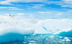 Потрясающие фотоснимки Арктики и Антарктики от фотографа Дэвида Шульца