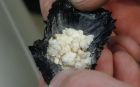Арзамасскими полицейскими было обнаружено наркотическое средство у 22-летней пассажирки машины
